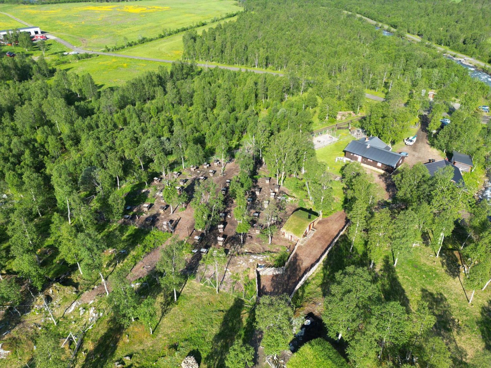 Bardu Huskylodge Экстерьер фото