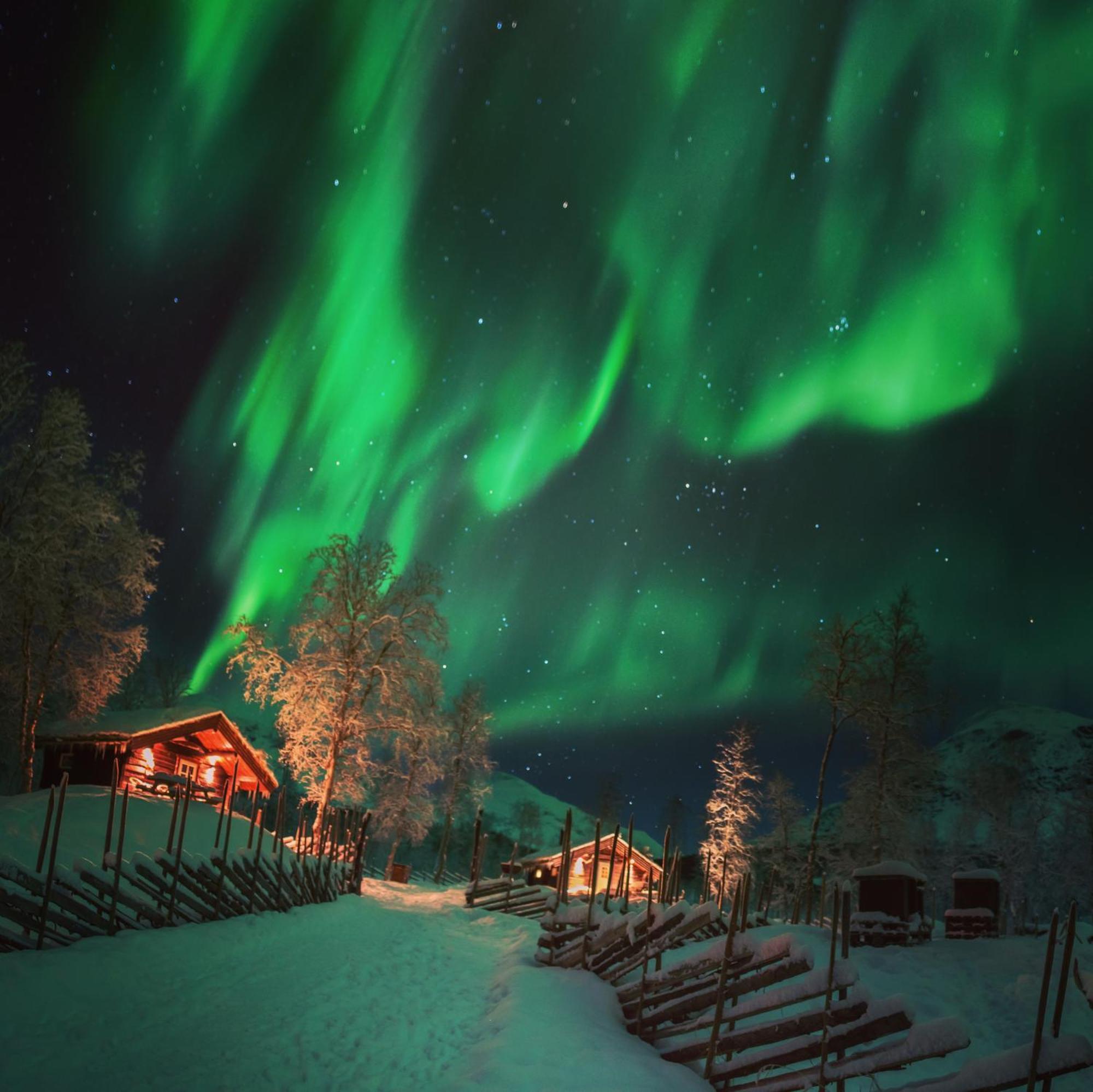 Bardu Huskylodge Экстерьер фото