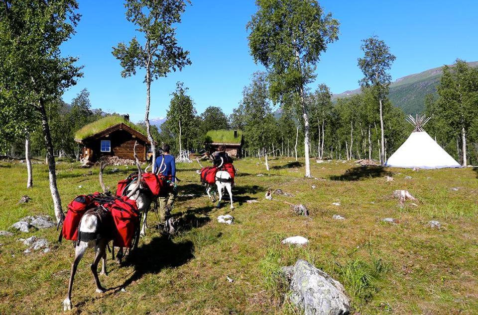 Bardu Huskylodge Экстерьер фото