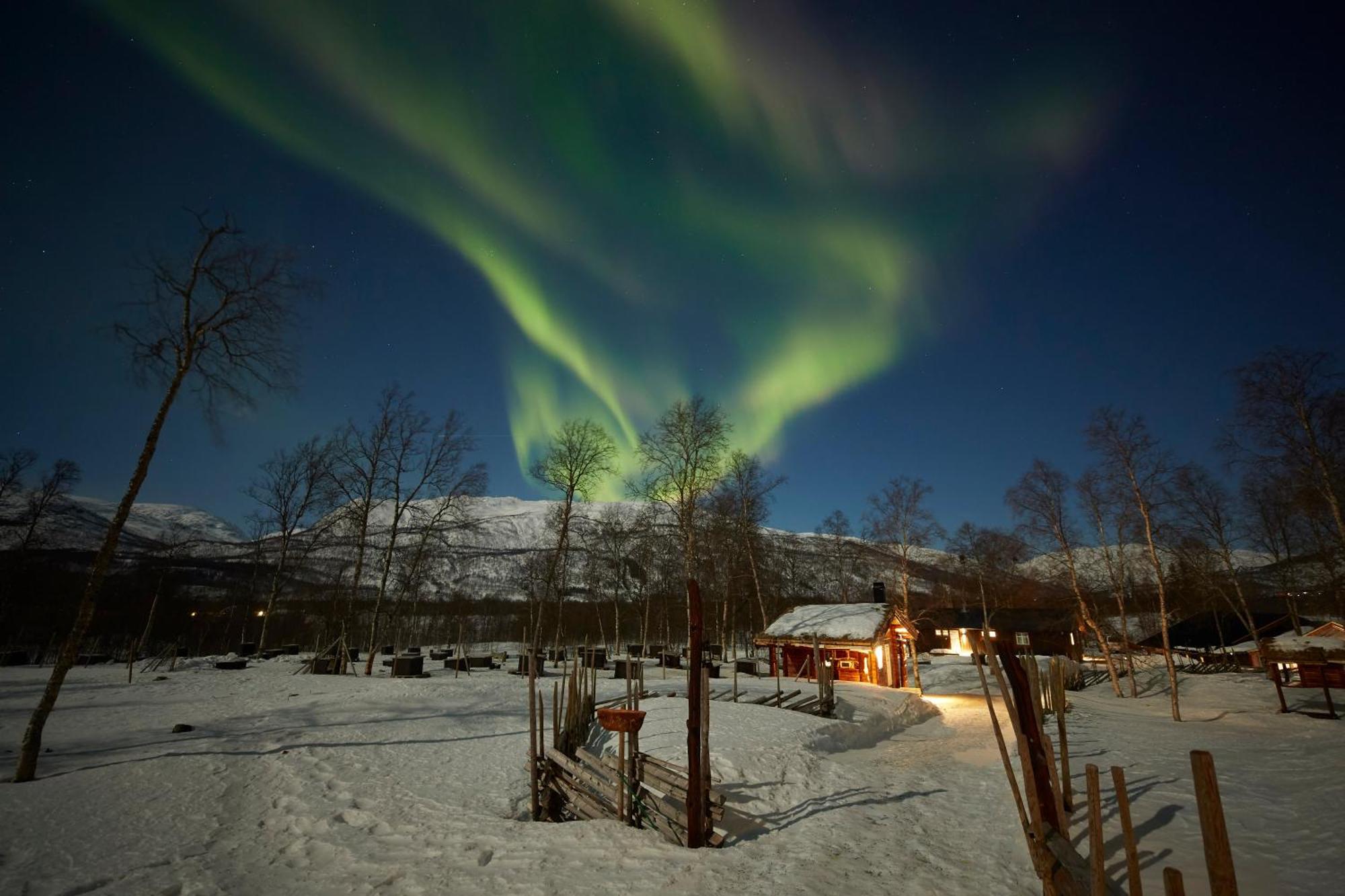Bardu Huskylodge Экстерьер фото